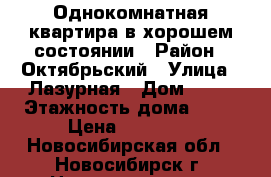 Однокомнатная квартира в хорошем состоянии › Район ­ Октябрьский › Улица ­ Лазурная › Дом ­ 14 › Этажность дома ­ 10 › Цена ­ 10 000 - Новосибирская обл., Новосибирск г. Недвижимость » Квартиры аренда   . Новосибирская обл.,Новосибирск г.